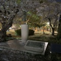 実際訪問したユーザーが直接撮影して投稿した中島町銅像平和祈念像 圓鍔勝三の写真