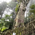 実際訪問したユーザーが直接撮影して投稿した玉置川神社玉置神社の写真