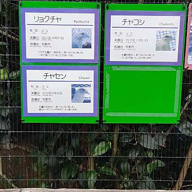 京都市動物園のundefinedに実際訪問訪問したユーザーunknownさんが新しく投稿した新着口コミの写真