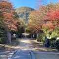 実際訪問したユーザーが直接撮影して投稿した甲山町自然名所兵庫県立 甲山森林公園の写真