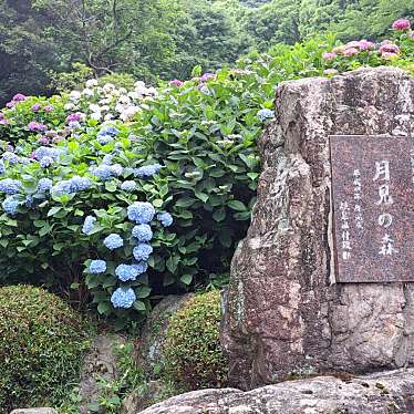 実際訪問したユーザーが直接撮影して投稿した南濃町羽沢公園月見の森の写真