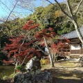 実際訪問したユーザーが直接撮影して投稿した根来寺根來寺の写真