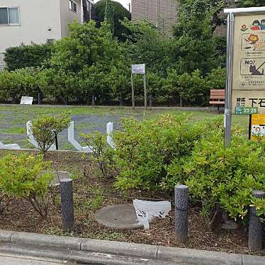 実際訪問したユーザーが直接撮影して投稿した下石神井公園練馬区立 下石神井三丁目緑地の写真