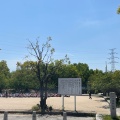 実際訪問したユーザーが直接撮影して投稿した八木公園八木梅林公園の写真