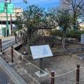 実際訪問したユーザーが直接撮影して投稿した神南庭園SHIBUYA バラ花壇の写真