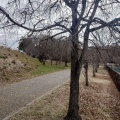 実際訪問したユーザーが直接撮影して投稿した平和公園公園平和公園の写真