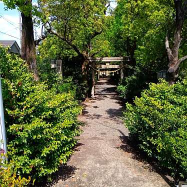 実際訪問したユーザーが直接撮影して投稿した大田町神社大宮神社の写真