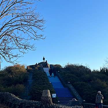 実際訪問したユーザーが直接撮影して投稿した泉町公園国営昭和記念公園 こどもの森の写真