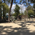 実際訪問したユーザーが直接撮影して投稿した宮ノ前神社猪名野神社の写真