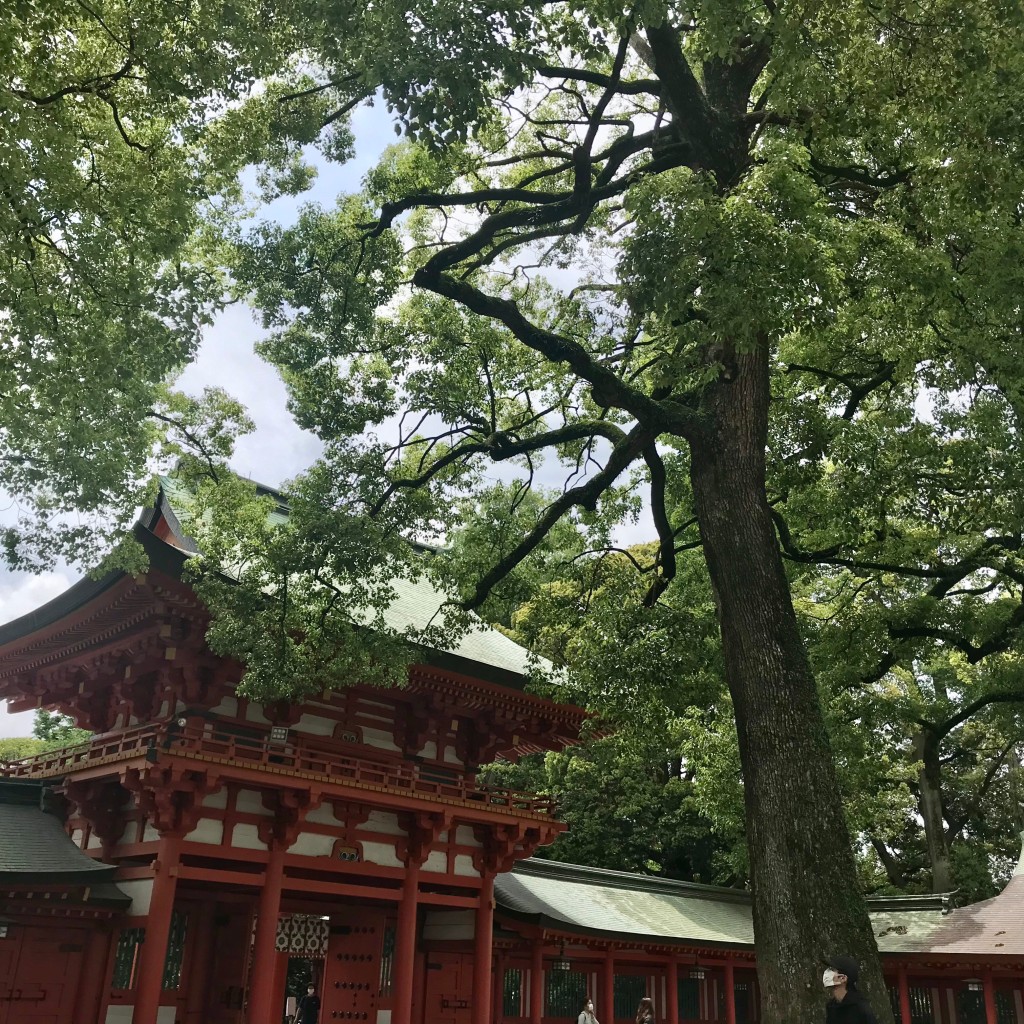 [居心地のいい、相性のいい神社]をテーマに、LINE PLACEのユーザーMimmiさんがおすすめするグルメ店リストの代表写真