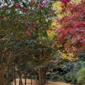 実際訪問したユーザーが直接撮影して投稿した扇ガ谷公園源氏山公園の写真