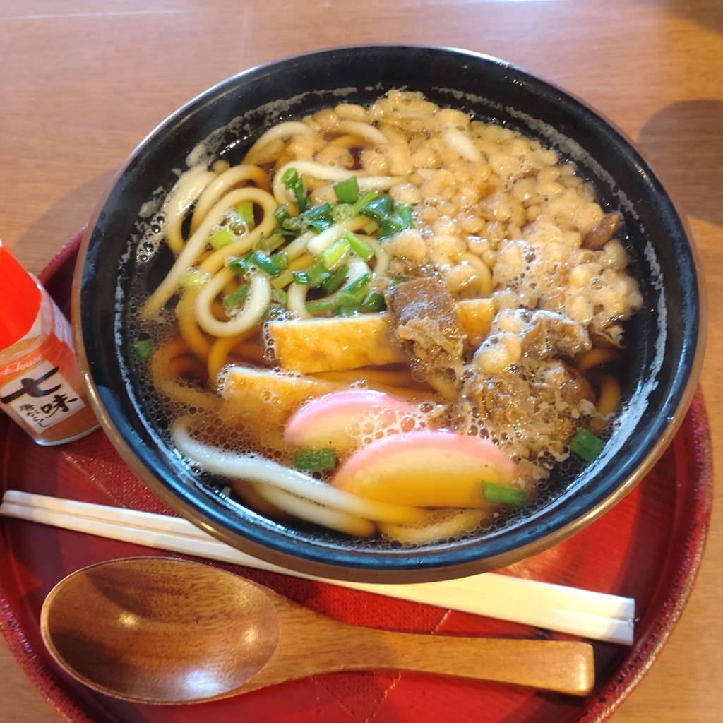ユーザーが投稿した肉うどんの写真 - 実際訪問したユーザーが直接撮影して投稿した松崎町カフェ天とて屋かふぇの写真