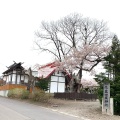 実際訪問したユーザーが直接撮影して投稿した大川神社一本栗地主神社の写真