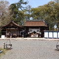 実際訪問したユーザーが直接撮影して投稿した海津町油島神社治水神社の写真