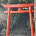 実際訪問したユーザーが直接撮影して投稿した伊豆山神社伊豆山神社の写真