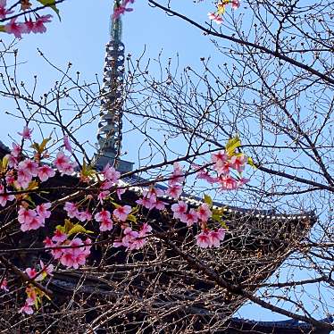 実際訪問したユーザーが直接撮影して投稿した九条町寺東寺の写真