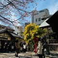 実際訪問したユーザーが直接撮影して投稿した蔵前神社蔵前神社の写真