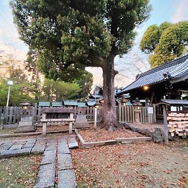 実際訪問したユーザーが直接撮影して投稿した芳野神社片山神社境内社 玉津嶋社の写真