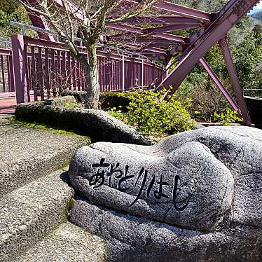 実際訪問したユーザーが直接撮影して投稿した山中温泉河鹿町橋あやとりはしの写真