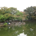 実際訪問したユーザーが直接撮影して投稿した菊名公園菊名池公園の写真