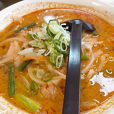 実際訪問したユーザーが直接撮影して投稿した堤ラーメン / つけ麺華林 那珂店の写真