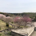 実際訪問したユーザーが直接撮影して投稿した寺田公園鴻ノ巣山運動公園の写真