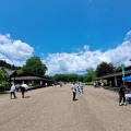 実際訪問したユーザーが直接撮影して投稿した瀬川公園日光だいや川公園の写真