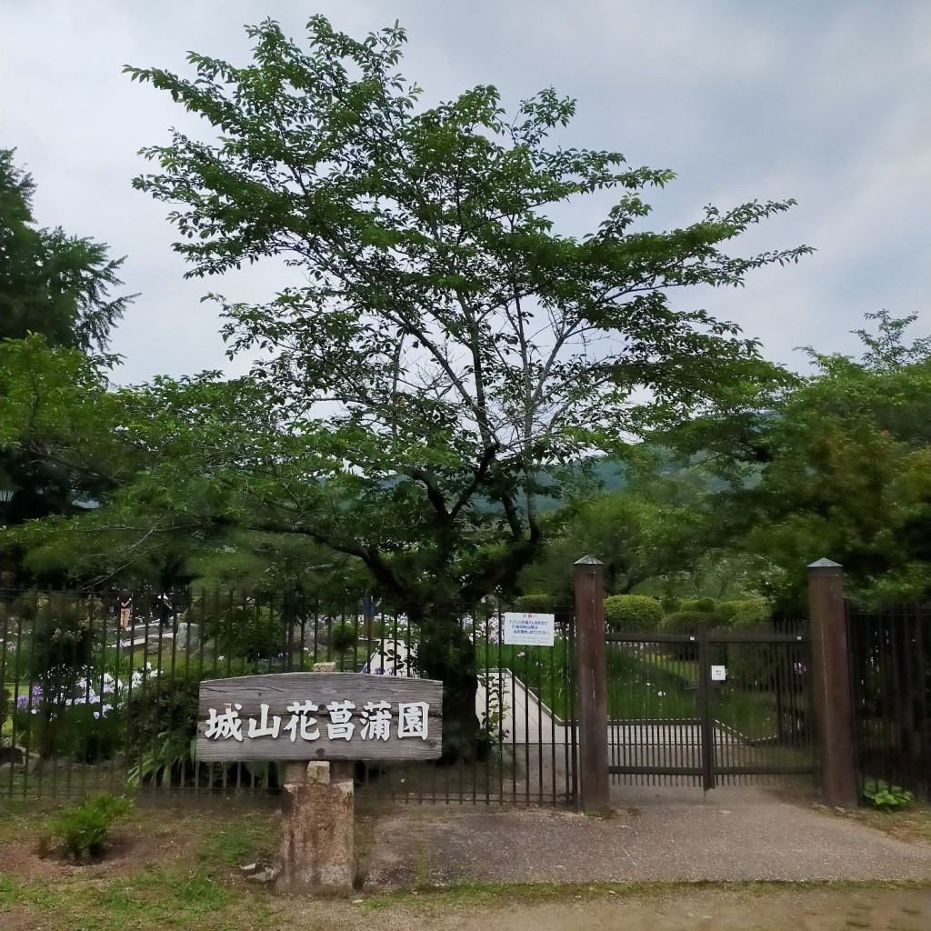 YST10さんが投稿した横山公園のお店城山花菖蒲園/シロヤマハナショウブエンの写真