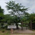 実際訪問したユーザーが直接撮影して投稿した横山公園城山花菖蒲園の写真