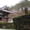 実際訪問したユーザーが直接撮影して投稿した別所温泉寺安楽寺の写真