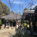 実際訪問したユーザーが直接撮影して投稿した泉涌寺山内町寺泉涌寺 楊貴妃観音堂の写真