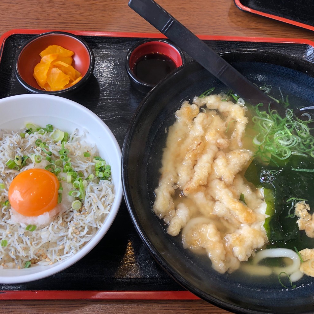 ユーザーが投稿したランチしらす飯とごぼう天うどんの写真 - 実際訪問したユーザーが直接撮影して投稿した角子南うどん鳴門うどん 大在店の写真