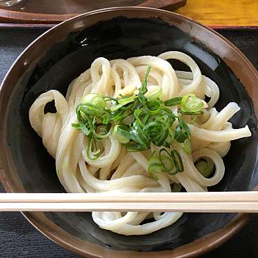 実際訪問したユーザーが直接撮影して投稿したうどん山内うどん店の写真