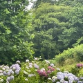 実際訪問したユーザーが直接撮影して投稿した黒河公園県民公園太閤山ランドの写真