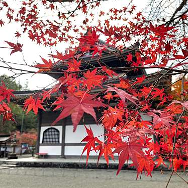 実際訪問したユーザーが直接撮影して投稿した高坂町許山寺佛通寺の写真