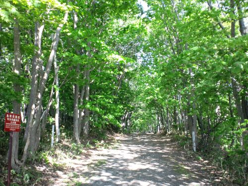 実際訪問したユーザーが直接撮影して投稿した緑が丘公園利根別自然公園の写真