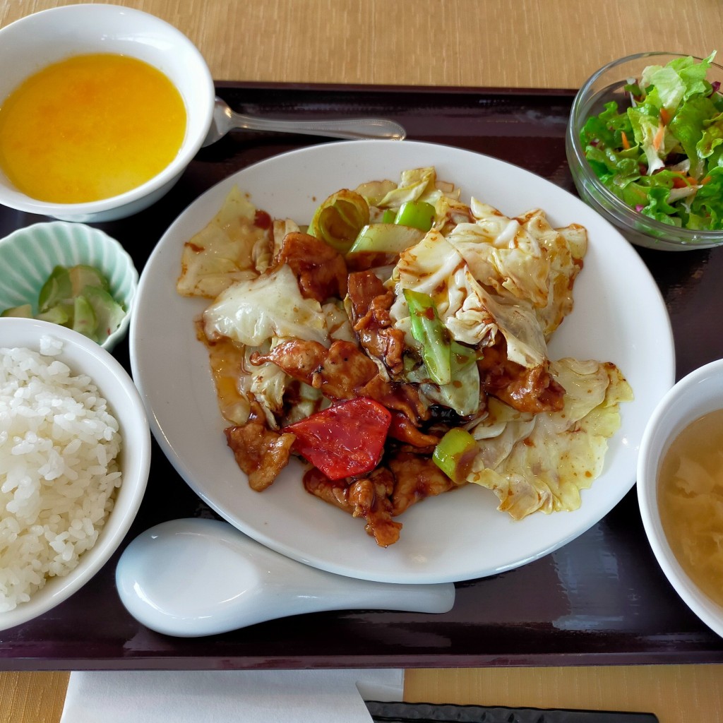 ユーザーが投稿したランチ2の写真 - 実際訪問したユーザーが直接撮影して投稿した矢野口中華料理中国新派料理 天安の写真