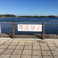 実際訪問したユーザーが直接撮影して投稿した海の公園バーベキュー場海の公園 バーベキュー場の写真