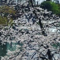 実際訪問したユーザーが直接撮影して投稿した井の頭居酒屋subLime 吉祥寺井の頭公園店の写真