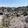 実際訪問したユーザーが直接撮影して投稿した一番丁公園和歌山城公園の写真