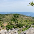 実際訪問したユーザーが直接撮影して投稿した山 / 峠藤原岳の写真