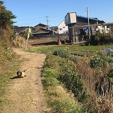 実際訪問したユーザーが直接撮影して投稿した江見太夫崎和カフェ / 甘味処ところてん小屋 青木の写真