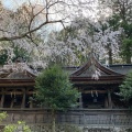 実際訪問したユーザーが直接撮影して投稿した吉野山神社吉野水分神社 子守宮の写真