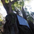 実際訪問したユーザーが直接撮影して投稿した西山町神社三峯社の写真