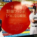 実際訪問したユーザーが直接撮影して投稿した新橋駅（代表）新橋駅の写真