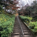 実際訪問したユーザーが直接撮影して投稿した仲ノ町公園打吹公園の写真