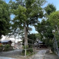 実際訪問したユーザーが直接撮影して投稿した宇治神社縣神社の写真