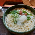 梅おろしうどん - 実際訪問したユーザーが直接撮影して投稿した窪うどんかなや麺業の写真のメニュー情報