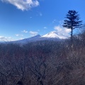 実際訪問したユーザーが直接撮影して投稿した軽井沢ウォーキング / トレッキングコース旧碓氷峠遊歩道頂上の見晴台の写真