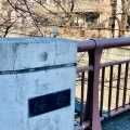 実際訪問したユーザーが直接撮影して投稿した上目黒橋目黒川 桜橋の写真